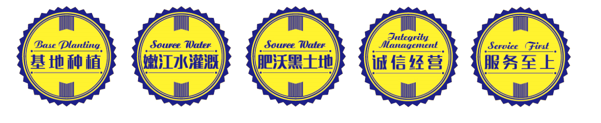 68663950898c2.png 未標題-2.png